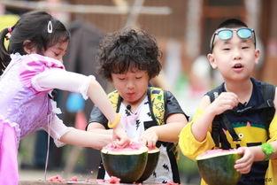 在娱乐综艺吃瓜