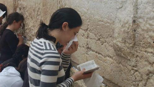 娱乐圈的吃瓜鹅,揭秘“吃瓜鹅”背后的八卦盛宴