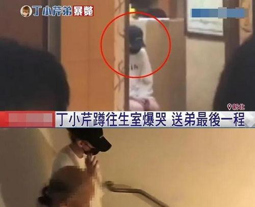 娱乐圈吃大瓜大结局视频,真相大白,明星命运转折点