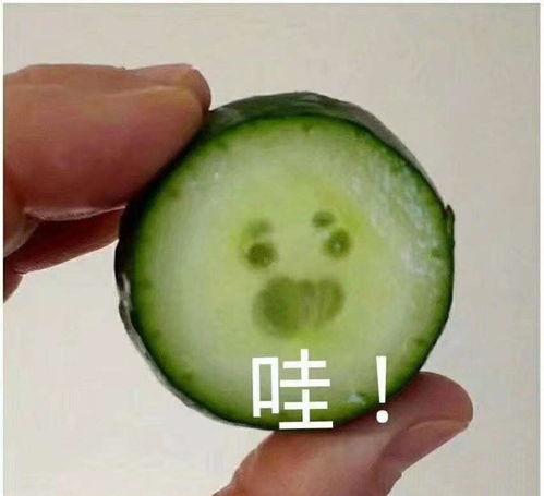 吃瓜表情包怎么回复女生微信,轻松回复女生微信,展现幽默魅力