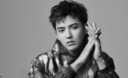 吃瓜娱乐圈男明星图片,娱乐圈男明星的时尚风采大揭秘